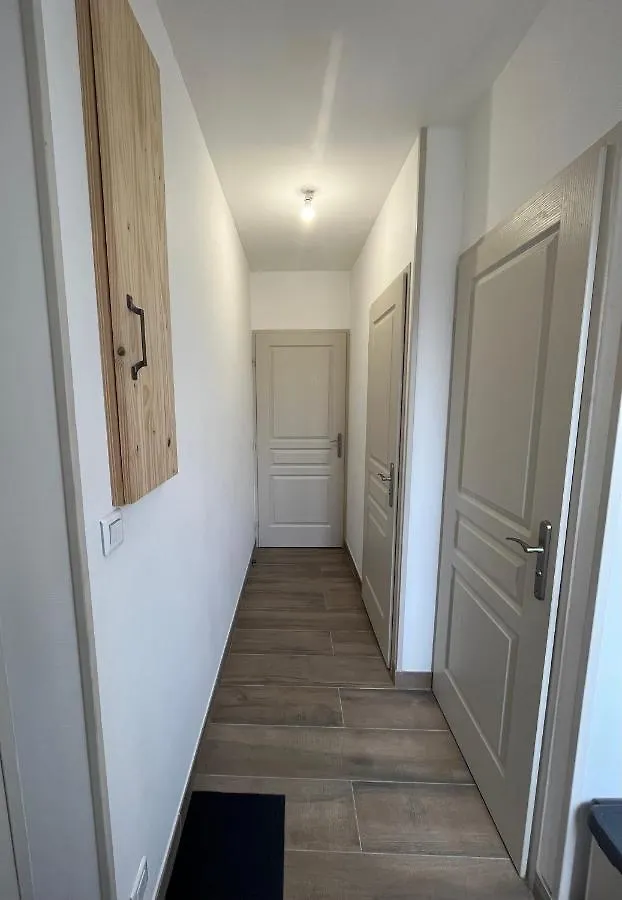 Appartement Renove A 15 Min De Lyon Saint-Fons France